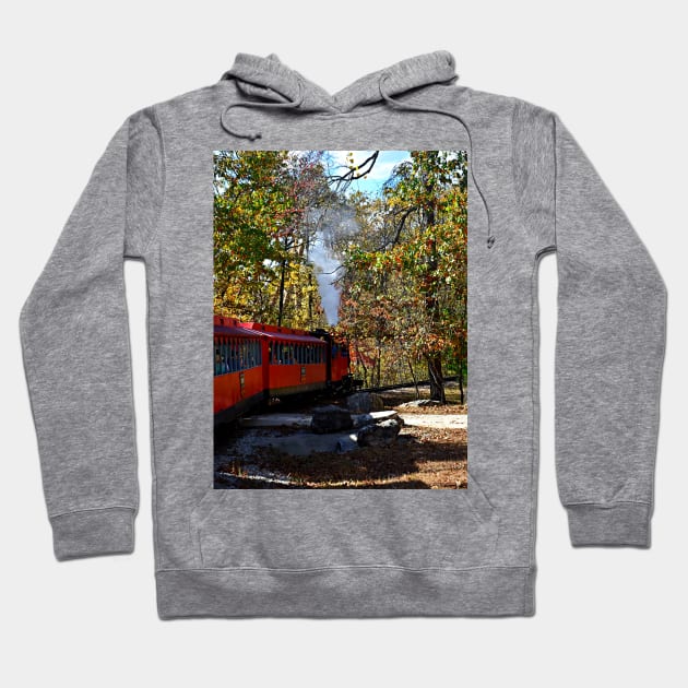 Train Ride Hoodie by Zotty4life 